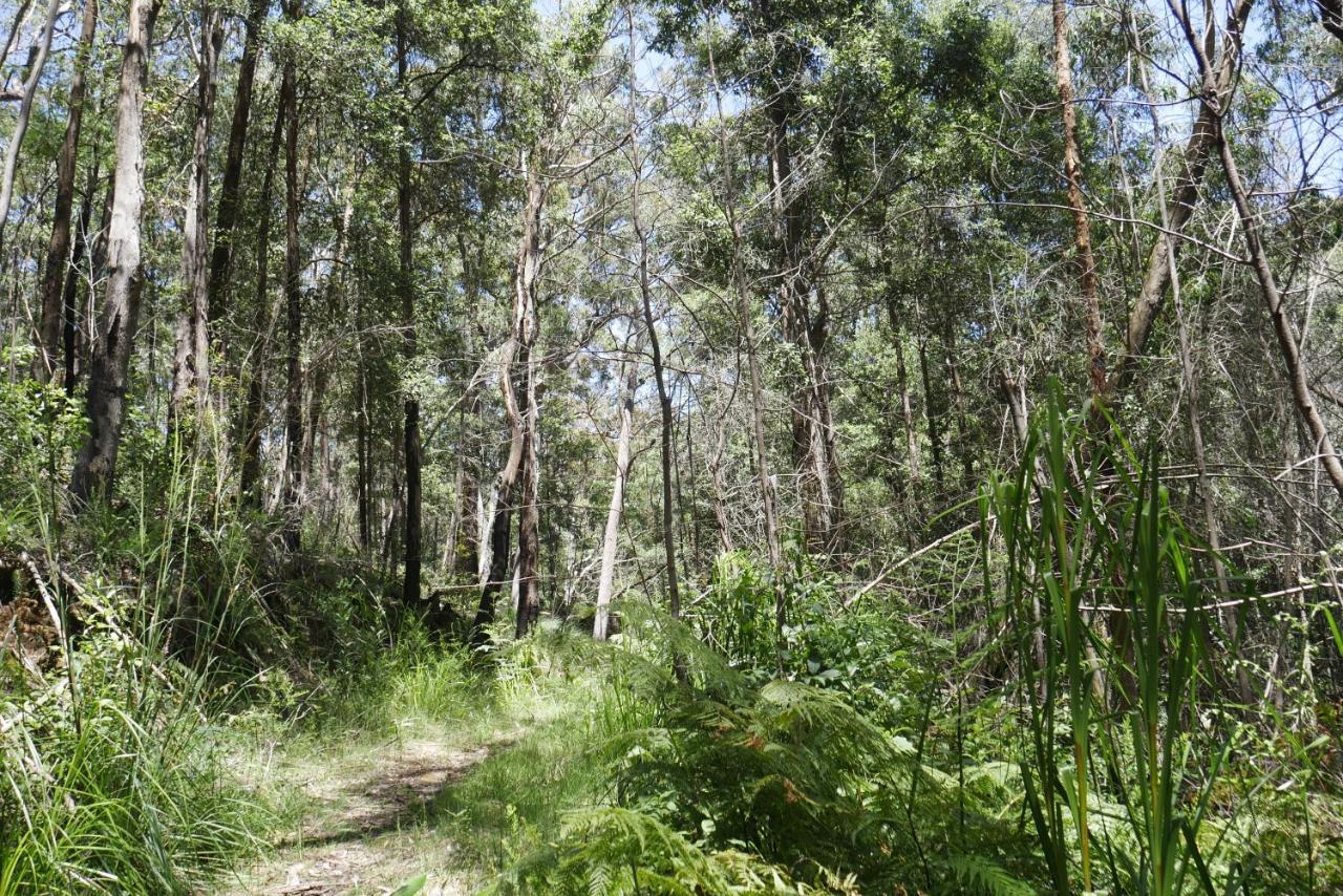 True North - 4Br Home & Garden In Bush Setting With Huge Bath Bilpin Extérieur photo