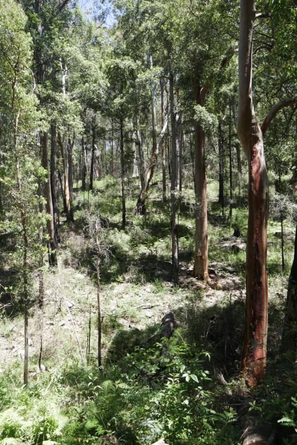 True North - 4Br Home & Garden In Bush Setting With Huge Bath Bilpin Extérieur photo