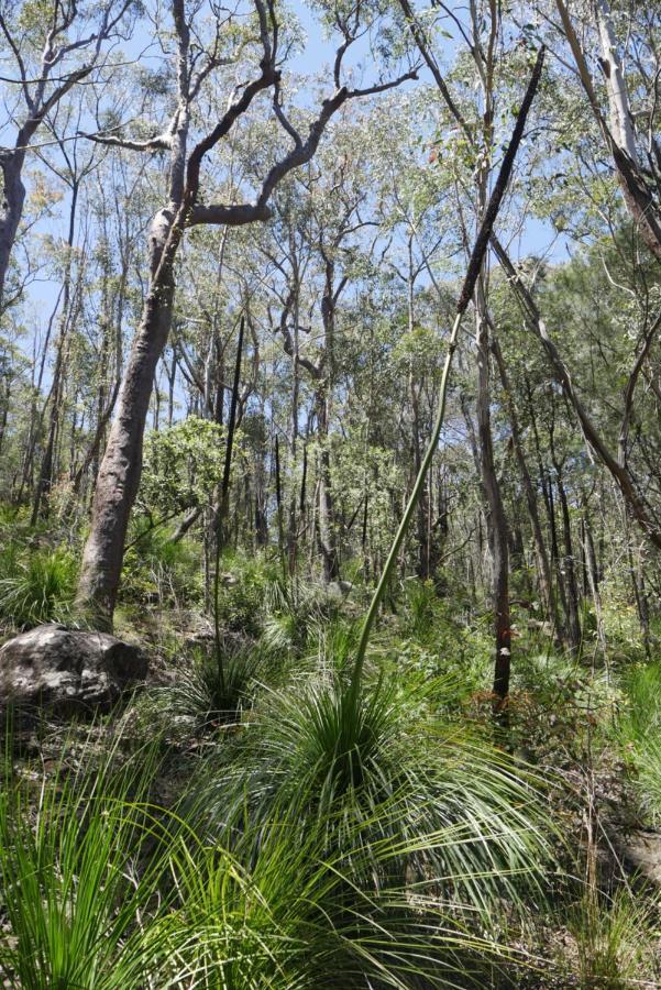 True North - 4Br Home & Garden In Bush Setting With Huge Bath Bilpin Extérieur photo