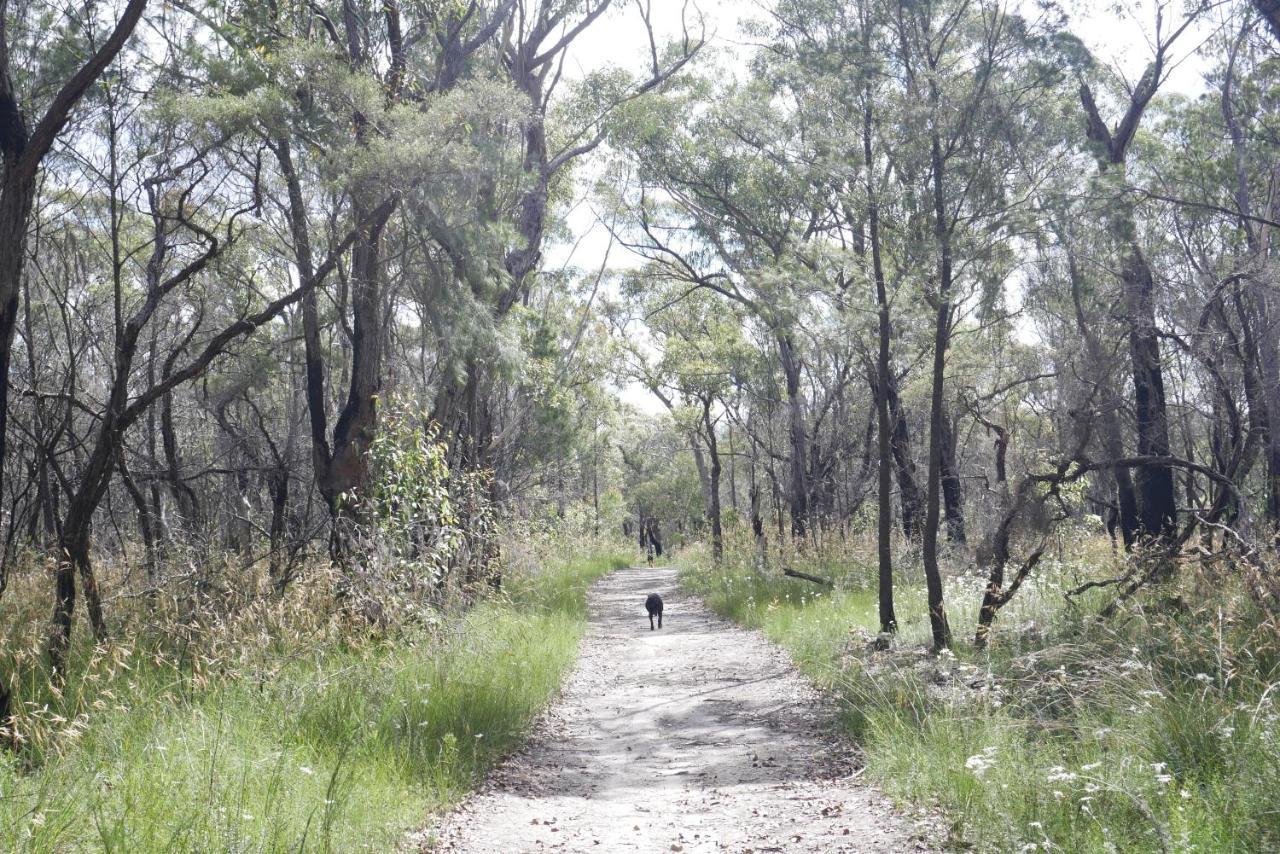 True North - 4Br Home & Garden In Bush Setting With Huge Bath Bilpin Extérieur photo
