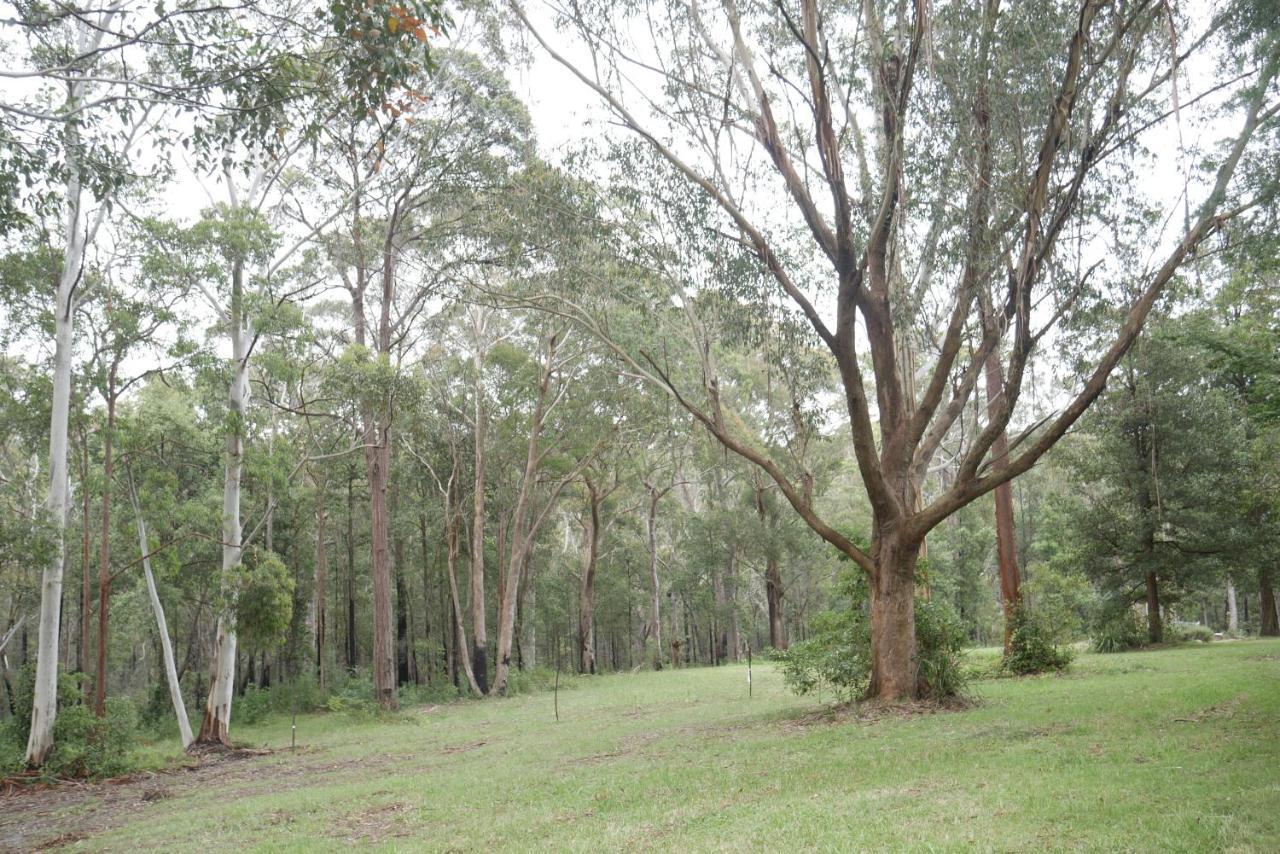 True North - 4Br Home & Garden In Bush Setting With Huge Bath Bilpin Extérieur photo