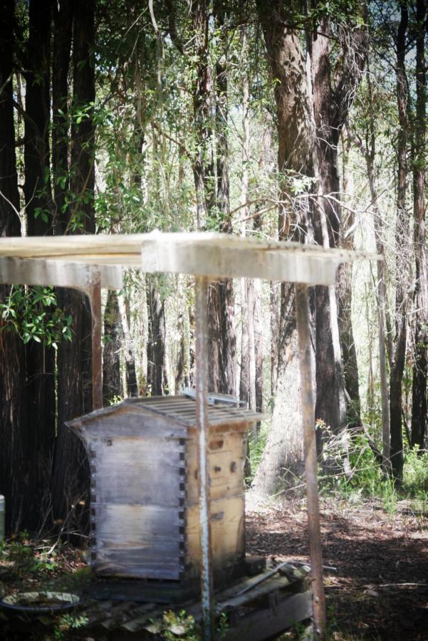 True North - 4Br Home & Garden In Bush Setting With Huge Bath Bilpin Extérieur photo