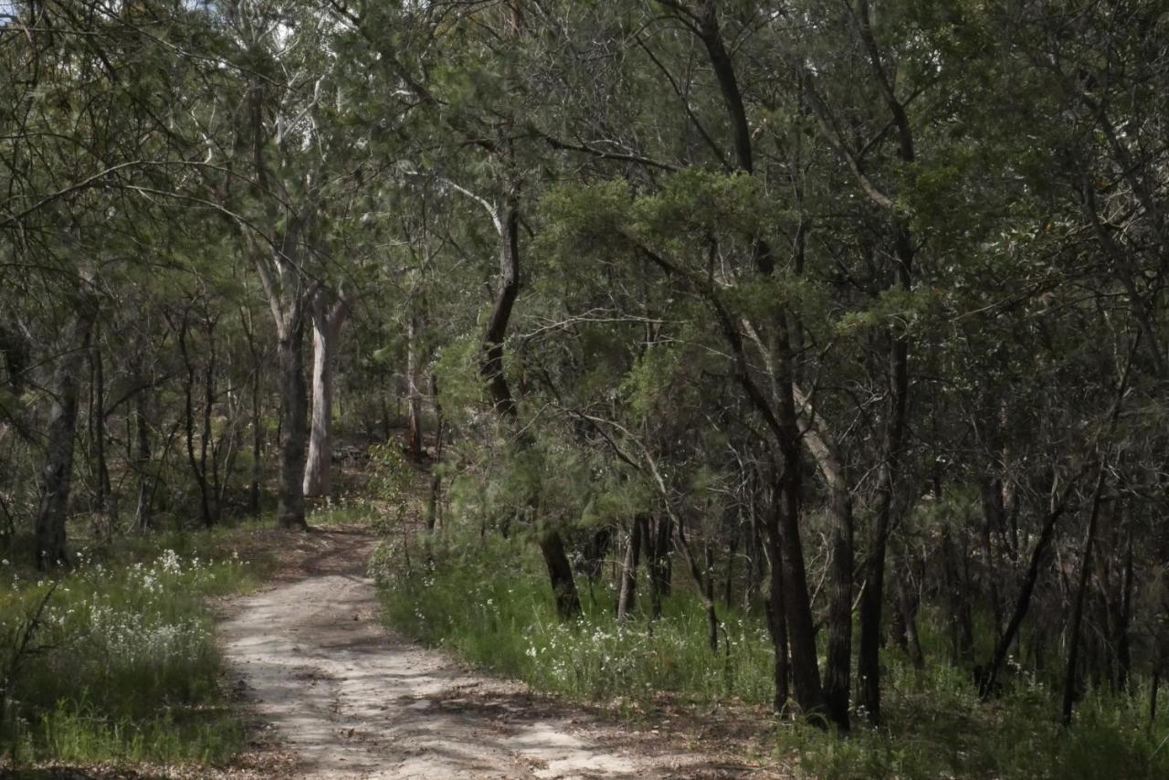 True North - 4Br Home & Garden In Bush Setting With Huge Bath Bilpin Extérieur photo