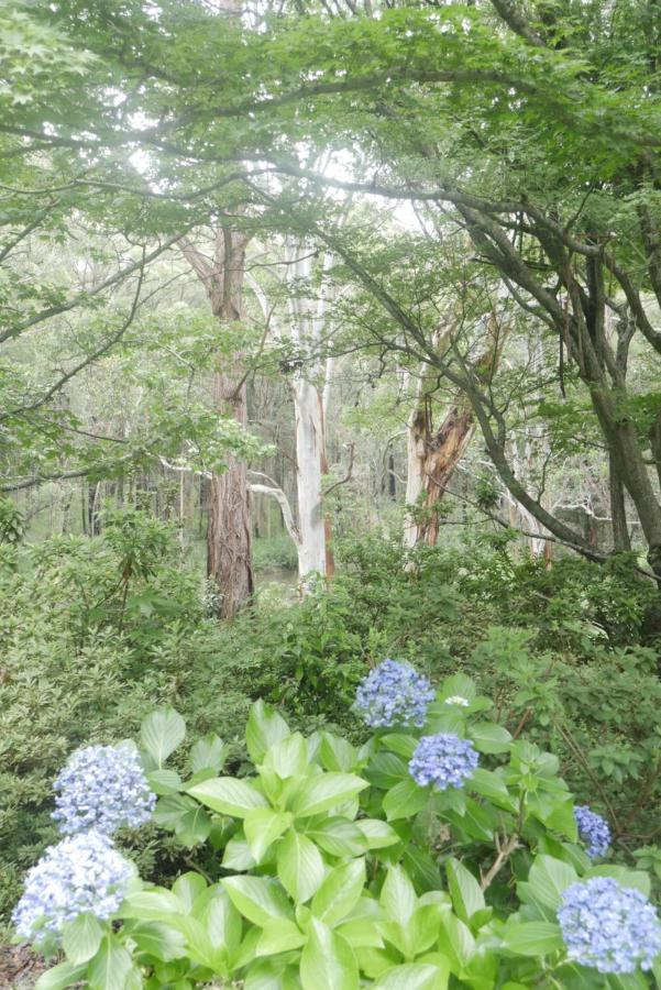 True North - 4Br Home & Garden In Bush Setting With Huge Bath Bilpin Extérieur photo