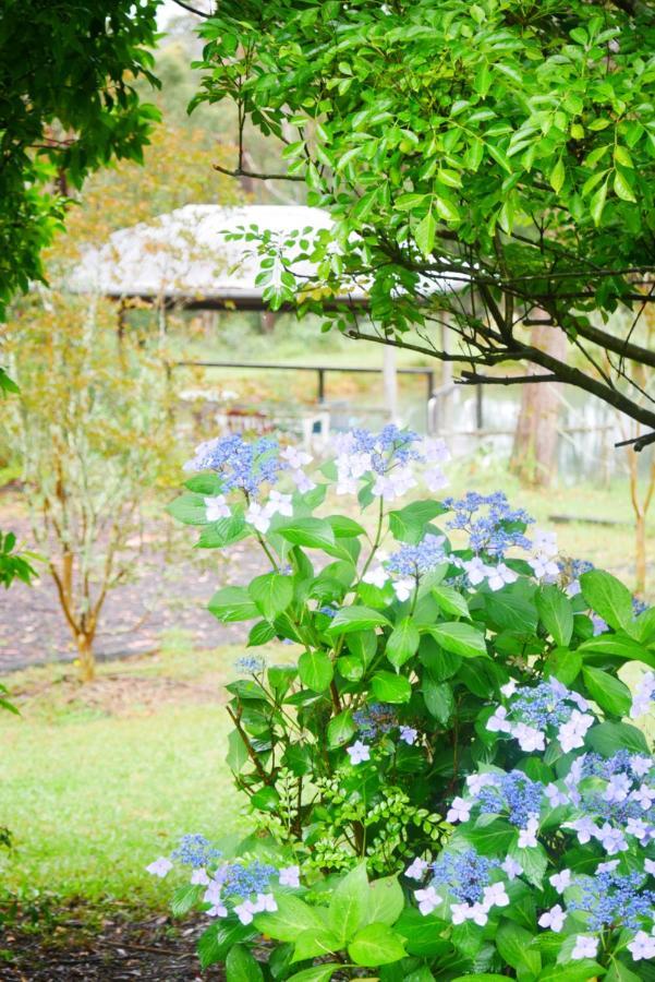 True North - 4Br Home & Garden In Bush Setting With Huge Bath Bilpin Extérieur photo